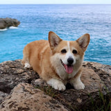 Test5